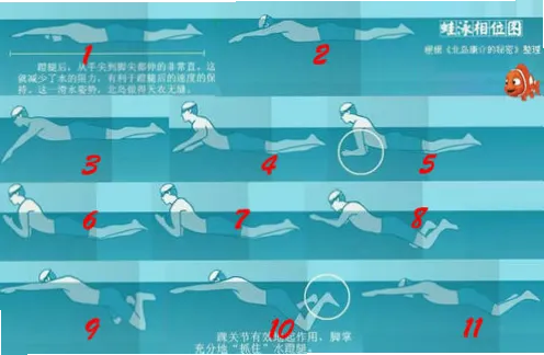 蛙泳技术：收腿保持膝宽，如何减少阻力？